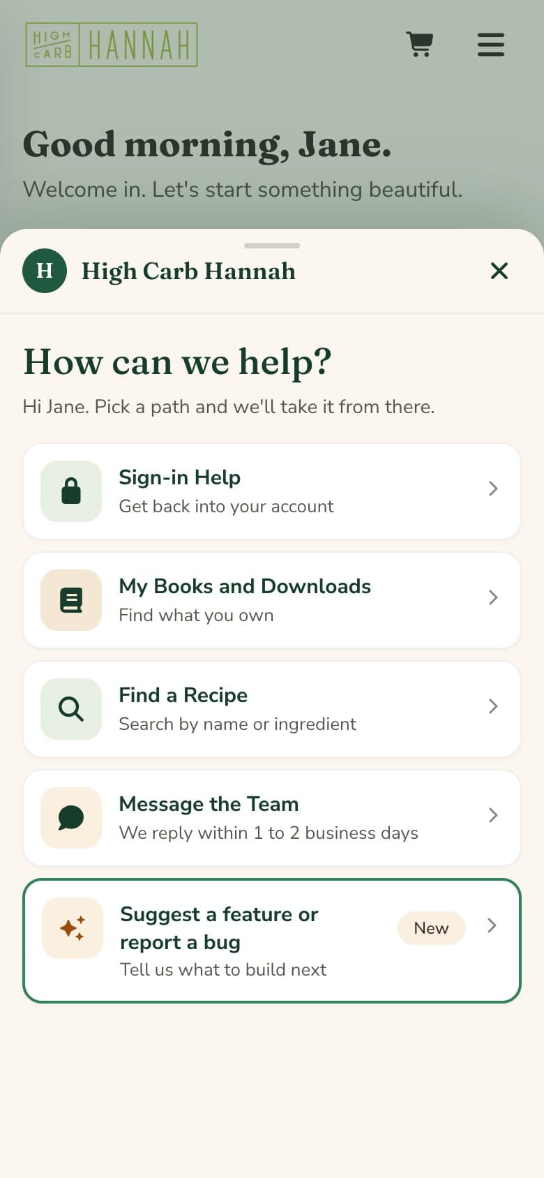 The help chat open, listing ways to get help