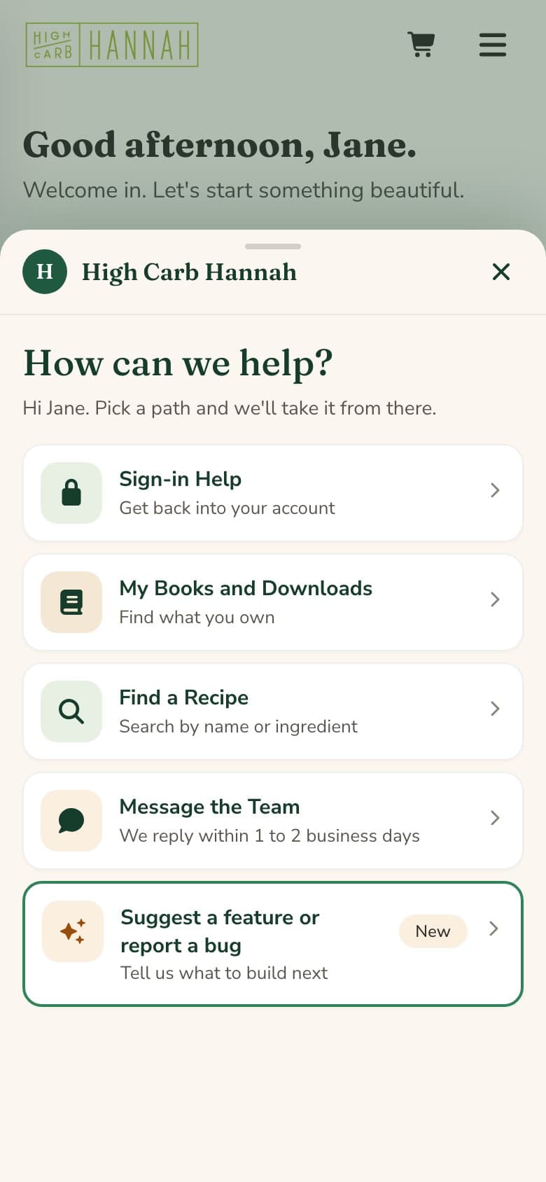 The help chat open, listing ways to get help